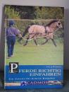 Pferde richtig einfahren - Ein Schritt-für-Schritt-Ratgeber